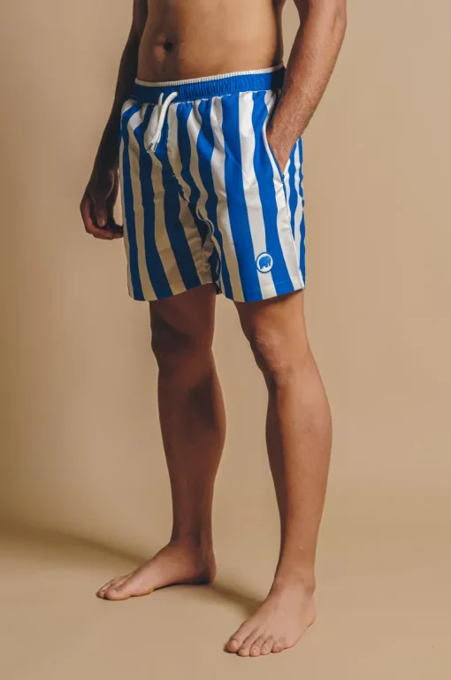 Beach Club Swim Shorts Striped Blue<Trendsplant Best Sale