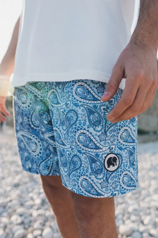 Breeze Paisley Swim Shorts Blue<Trendsplant New