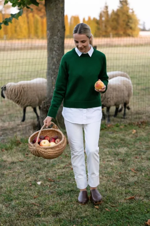 Crew Neck Merino Wool Sweater Forest Green<Monala Hot