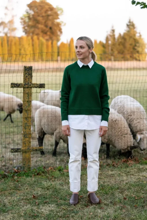 Crew Neck Merino Wool Sweater Forest Green<Monala Hot
