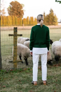 Crew Neck Merino Wool Sweater Forest Green<Monala Hot