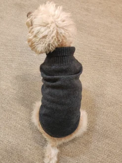 Dog Cashmere Sweater Anthracite<bobbin u0026 tricot Clearance