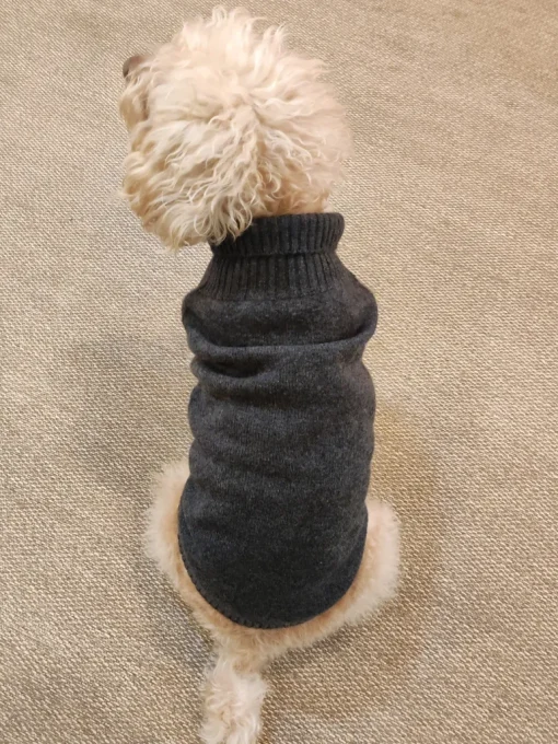 Dog Cashmere Sweater Anthracite<bobbin u0026 tricot Clearance