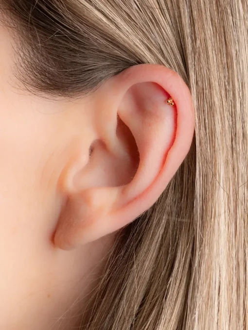 Elliot Piercing Earring<April Please New