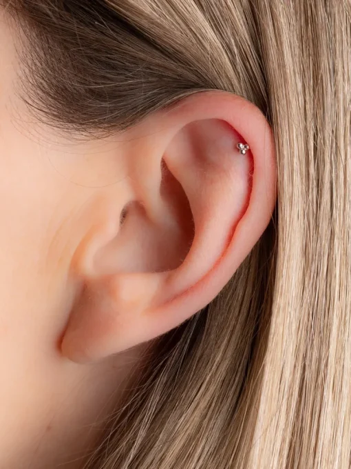 Elliot Piercing Earring<April Please New