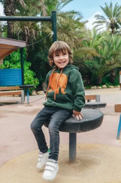 Kids' Organic Classic Hoodie Greener Pastures<Trendsplant Online