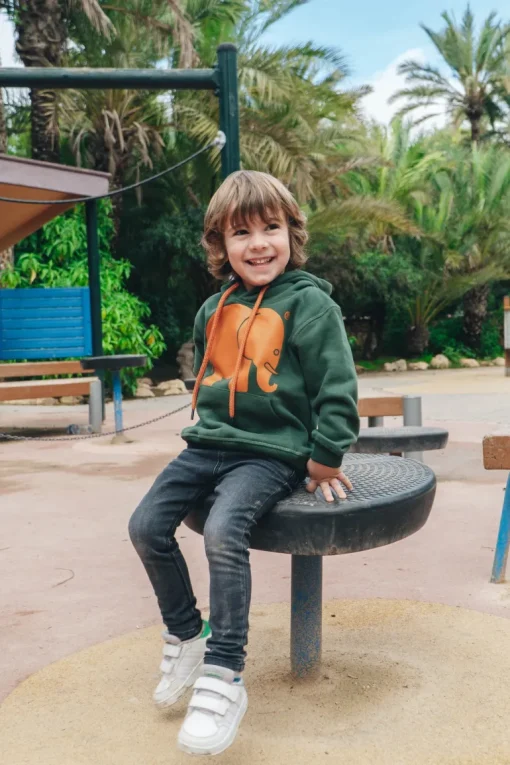 Kids' Organic Classic Hoodie Greener Pastures<Trendsplant Online