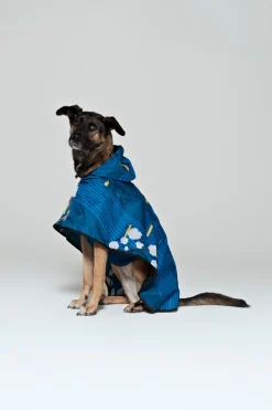 Koiran Sadeviitta Japanese Blossom<Rainkiss Best Sale