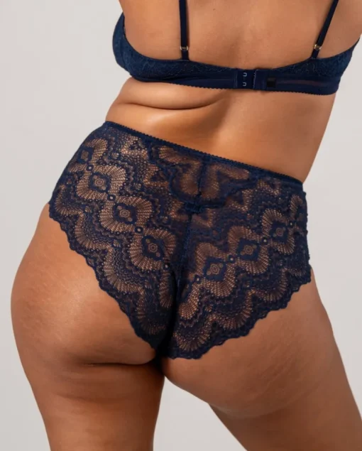 Lace Mesh Highwaist Briefs Navy<UNDERSTATEMENT Best