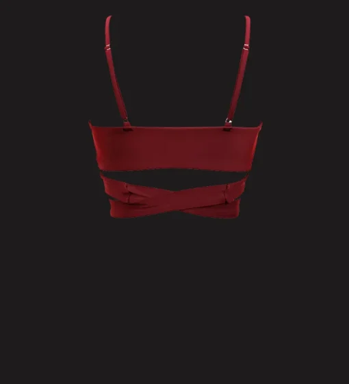 Lin Bikini Top<Anekdot Best