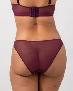 Mesh Bikini Briefs Cherry/Coral<UNDERSTATEMENT New