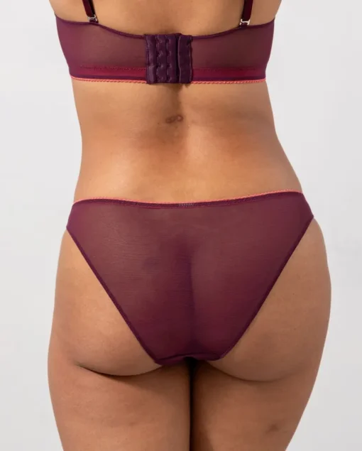 Mesh Bikini Briefs Cherry/Coral<UNDERSTATEMENT New