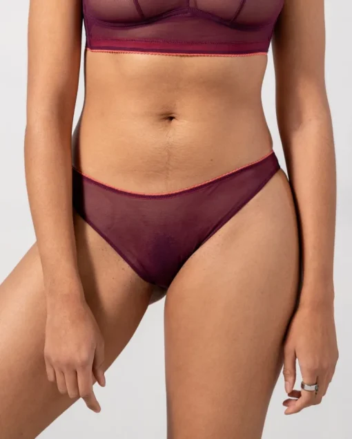 Mesh Bikini Briefs Cherry/Coral<UNDERSTATEMENT New