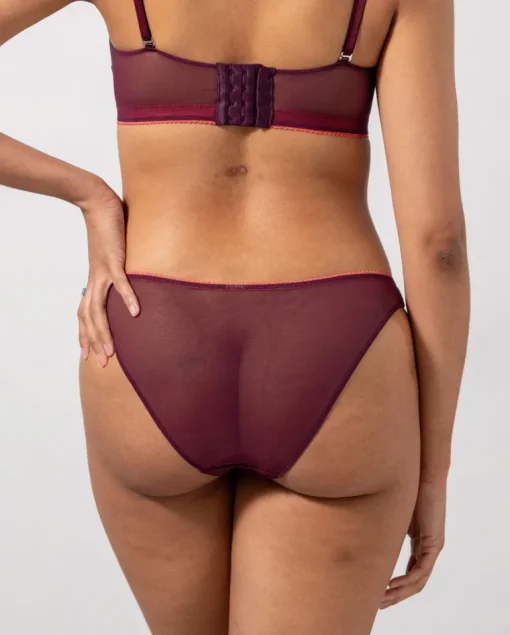 Mesh Bikini Briefs Cherry/Coral<UNDERSTATEMENT New