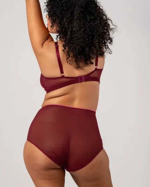 Mesh Highwaist Briefs Burgundy/Neon Pink<UNDERSTATEMENT Online