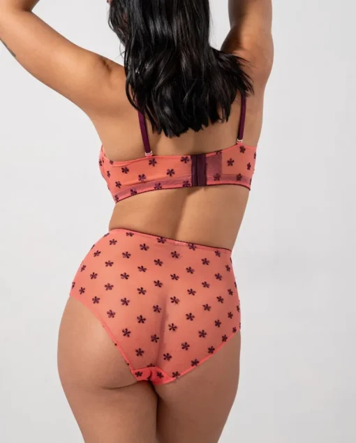 Mesh Highwaist Briefs Coral/Cherry<UNDERSTATEMENT Online