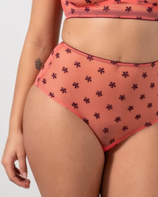 Mesh Highwaist Briefs Coral/Cherry<UNDERSTATEMENT Online