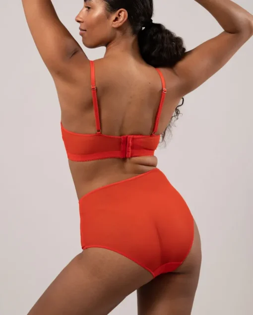 Mesh Highwaist Briefs Fiery Red<UNDERSTATEMENT Best