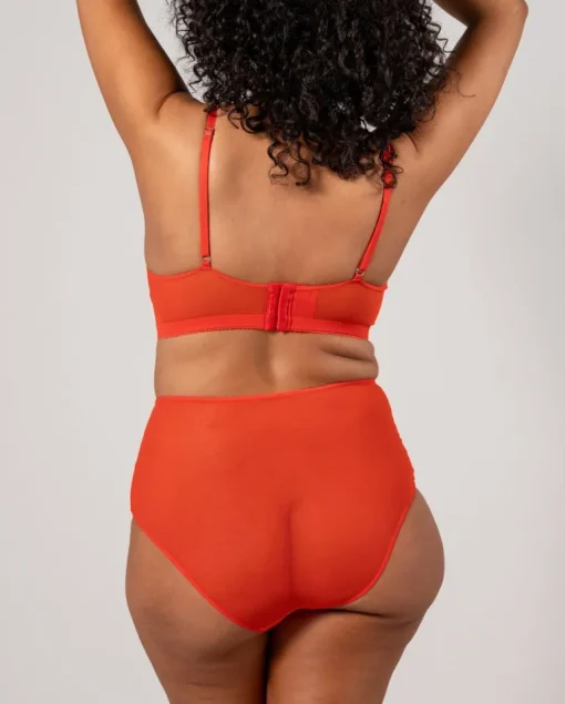 Mesh Highwaist Briefs Fiery Red<UNDERSTATEMENT Best