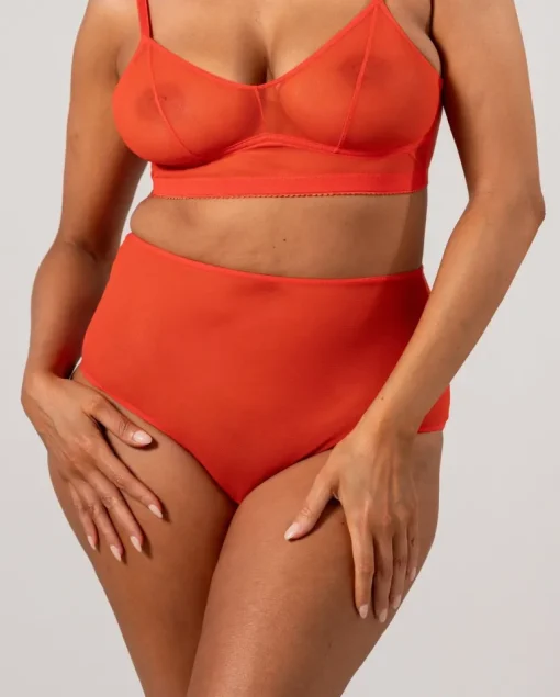 Mesh Highwaist Briefs Fiery Red<UNDERSTATEMENT Best