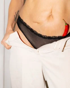 Mesh Lace Trim Bikini Briefs Black<UNDERSTATEMENT Clearance