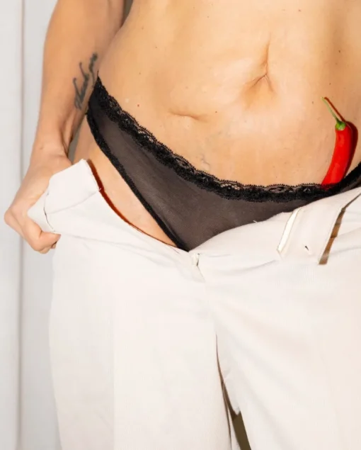 Mesh Lace Trim Bikini Briefs Black<UNDERSTATEMENT Clearance