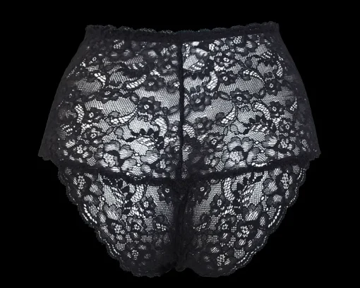 New Moon High Panties<Anekdot Store