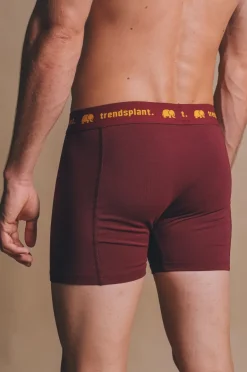 Organic Essential Boxer Briefs Burgundy<Trendsplant Fashion