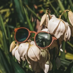 Stinson Aurinkolasit<Joplins Sunglasses New