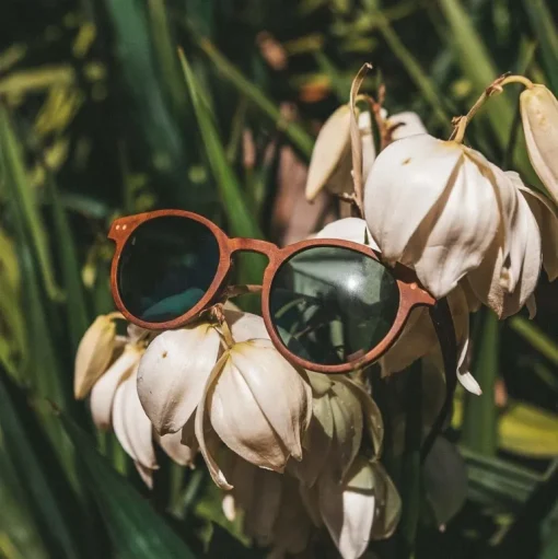 Stinson Aurinkolasit<Joplins Sunglasses New